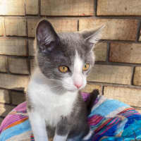 Photo of Jasper