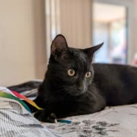 Photo of Hamish