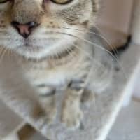 Photo of Kyla