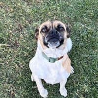 Photo of Wallace
