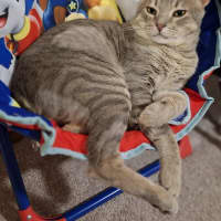 Photo of Grumbles