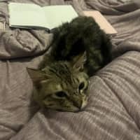 Photo of Klaus