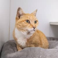 Photo of Mum
