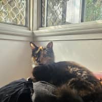 Photo of Sophie