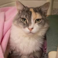 Photo of Zoe