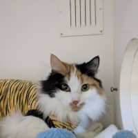 Photo of 🎀Brigita 6395 🎀