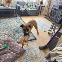 Photo of Archer Tamblyn