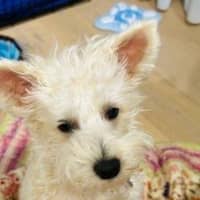 Photo of Lily Peggotty