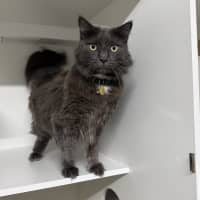 Photo of Storm