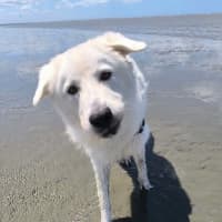 Photo of Zeus