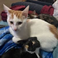 Photo of Salsa 