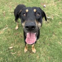 Photo of Duke