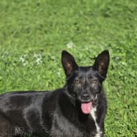 Photo of Matilda