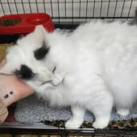 Photo of Jamilla Aka Milla