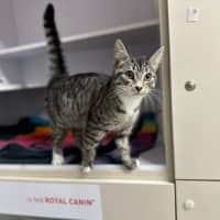 Photo of Penelope