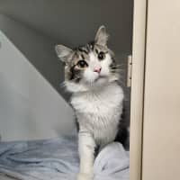 Photo of Bruce 