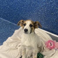 Photo of Sprout 