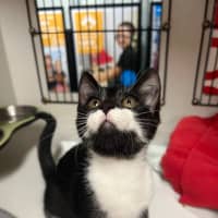 Photo of Tilly