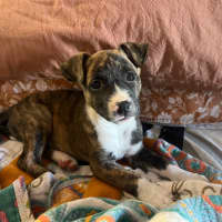 Photo of Jive