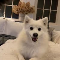 Photo of Bella 
