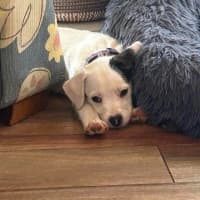 Photo of Lenny