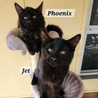 Photo of Jet