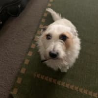 Photo of Russell Russelton