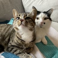 Photo of Alexa & Cindy