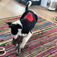 Photo of Oakley