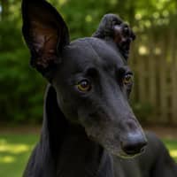 Photo of Jake