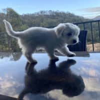 Photo of Cracker Jack