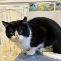 Photo of Bruce Wayne