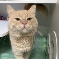 Photo of Cloudy