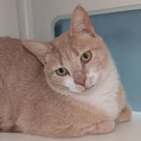Photo of Terrence 