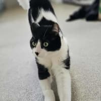 Photo of Momo