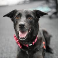 Photo of Marnie