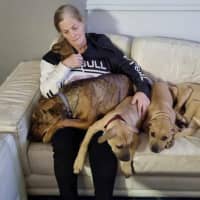 Photo of Chestnut (Chester)