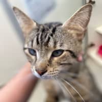 Photo of Dewie 