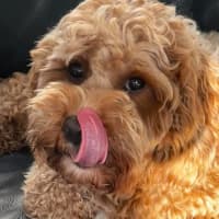Photo of Winnie