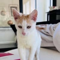 Photo of Leo