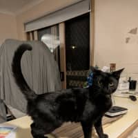 Photo of Tammy