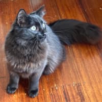 Photo of Max
