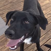 Photo of Turbo Aka Toby