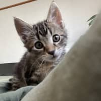 Photo of Remi