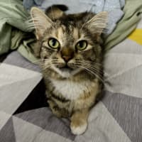 Photo of Samara Mae 