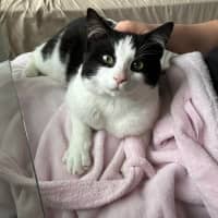 Photo of Moo