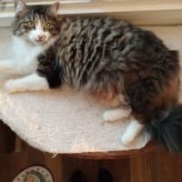 Photo of Ms. Ida Mae