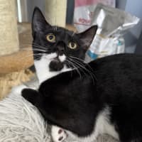 Photo of Jasper