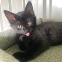 Photo of Fiona