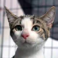 Photo of Vali